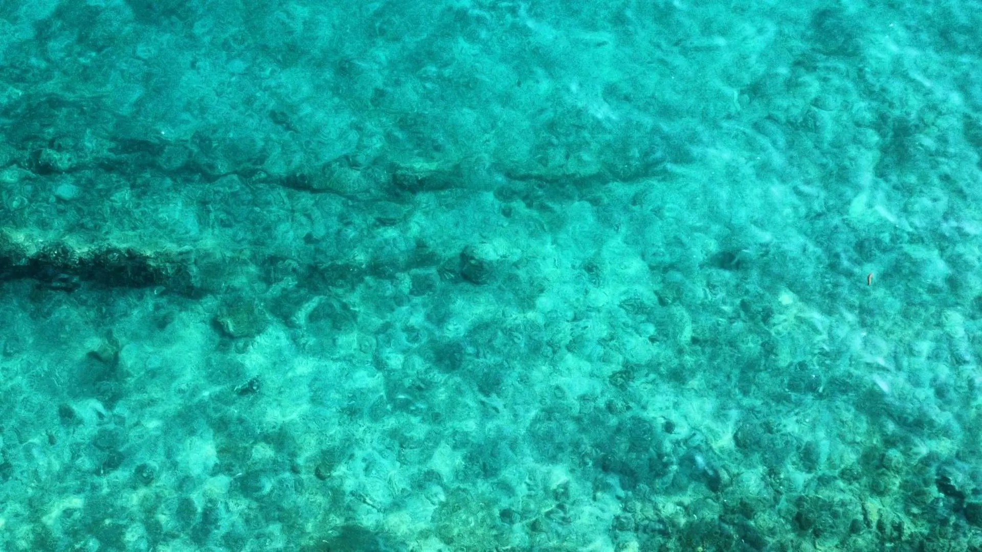 Amfora Maris Apartment Split Croatia